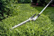 Stihl HL-KM 145 600mm Blade Long Reach Hedge Cutter Attachment